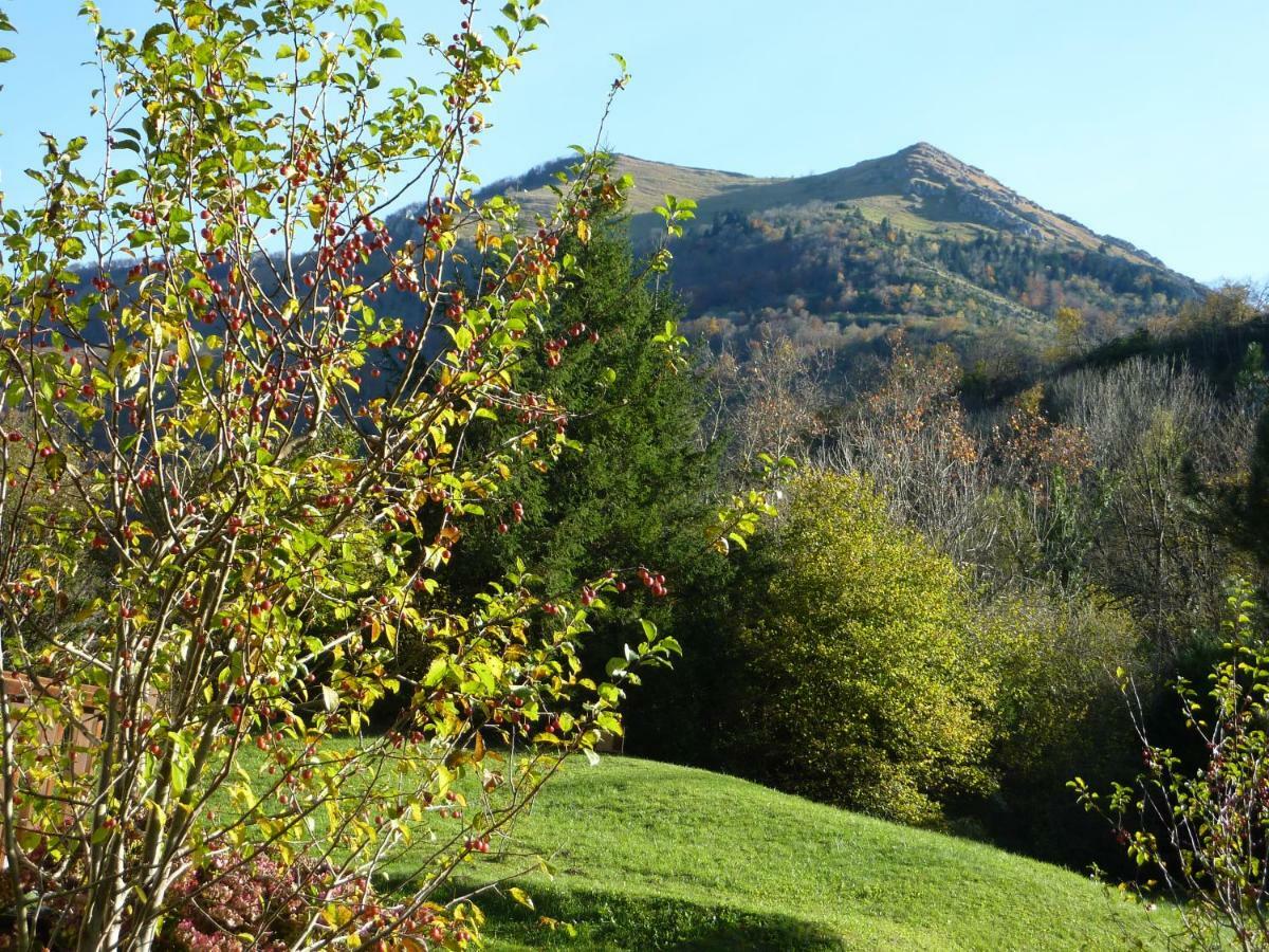 Camping Le Rey Louvie Juzon Dış mekan fotoğraf